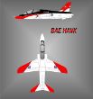 Bae-Hawk..jpg