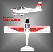 Swiss Trainer..jpg