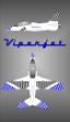 Viperjet.jpg