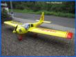 Swiss_Trainer1.jpg