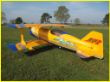 Pitts1.jpg